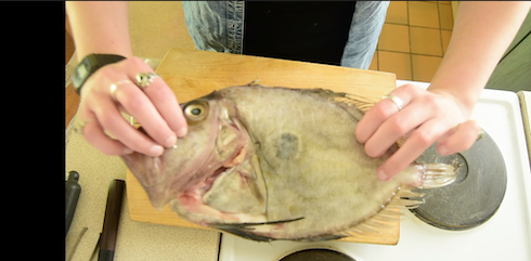 John Dory Miso marinaded with Red Cabbage & Rice